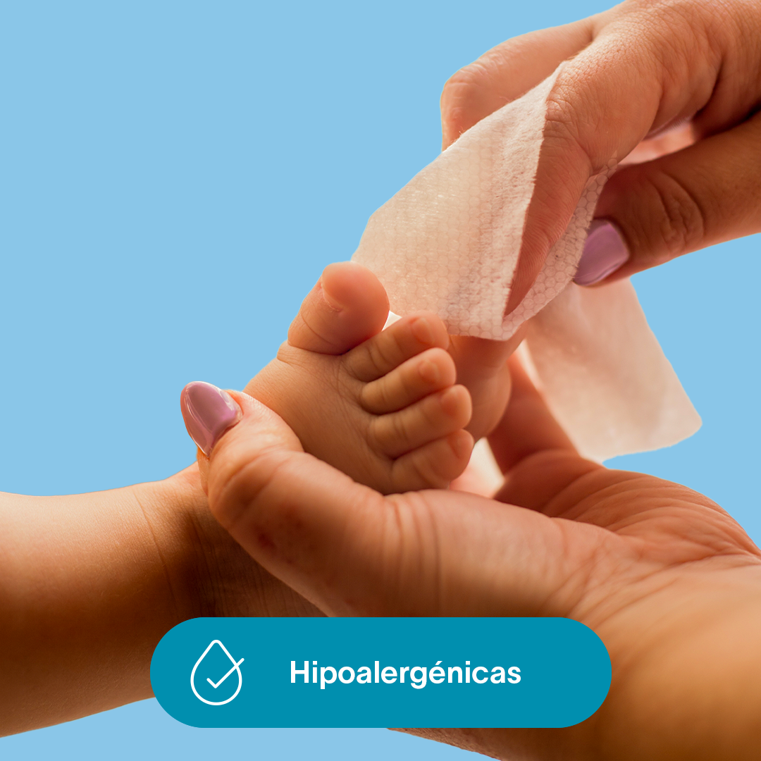 Toallitas Húmedas | 12 pzas - 1200 toallitas