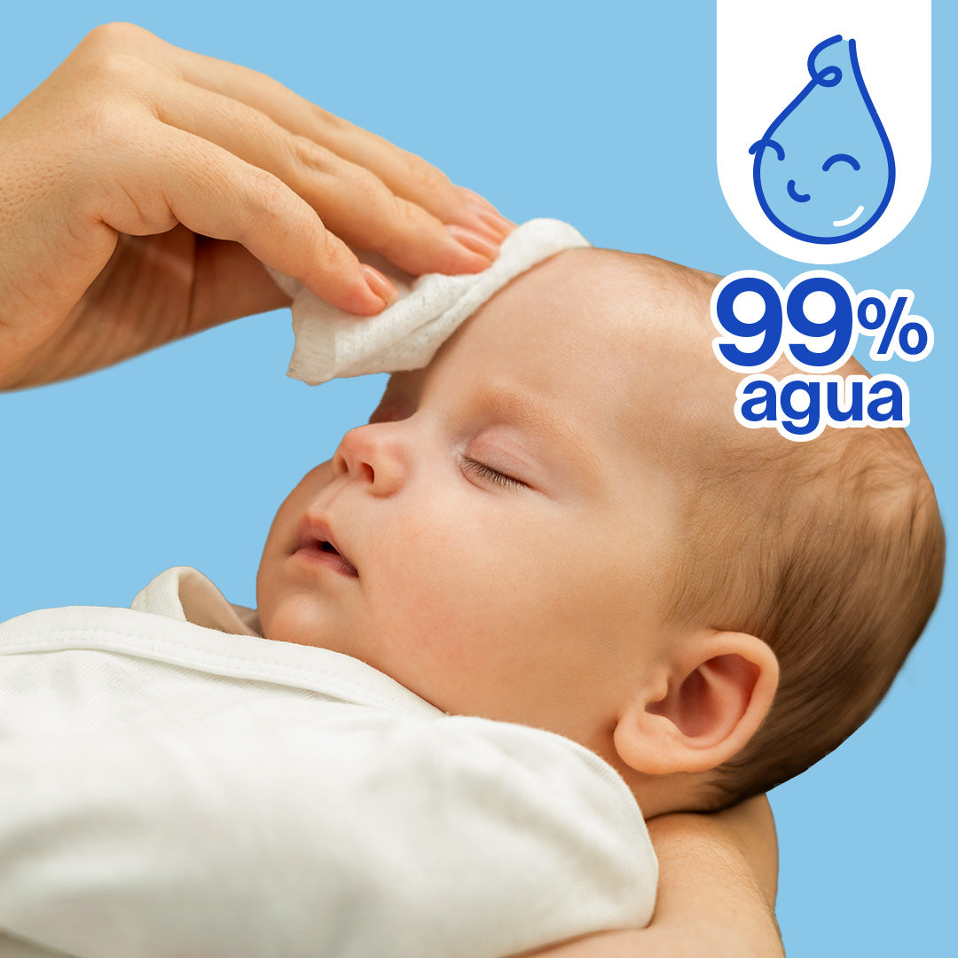 Toallitas Húmedas | 12 pzas - 1200 toallitas