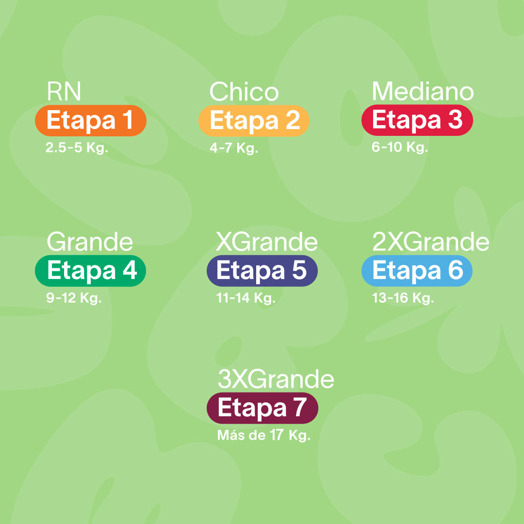 Pañales para bebé | Etapa 2 - Chico  4 a 7 kg